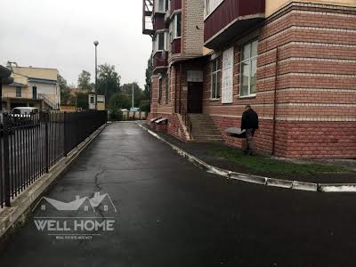 комерційна за адресою Шевченка вул., 10-А