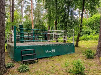 будинок за адресою Вишгородський