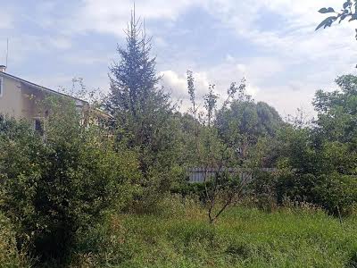 будинок за адресою с. Миколаївка, Лісна