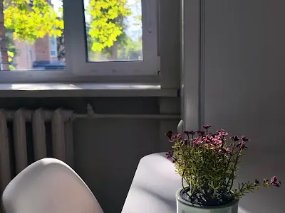 квартира за адресою Олени Теліги вул., 15