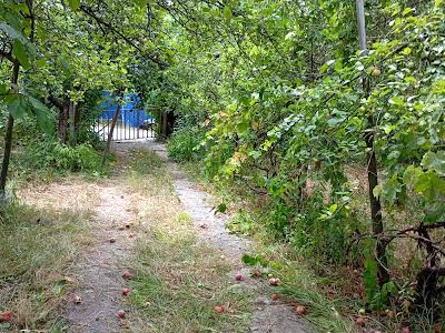 будинок за адресою с. Халеп'я, СТ Струмок