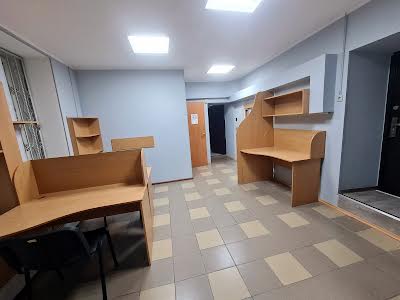 комерційна за адресою Панаса Мирного вул., 9б
