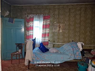 будинок за адресою с. Городище-Пустоварівське, Березова, 17