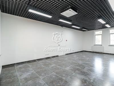 комерційна за адресою Шота Руставелі вул., 18А