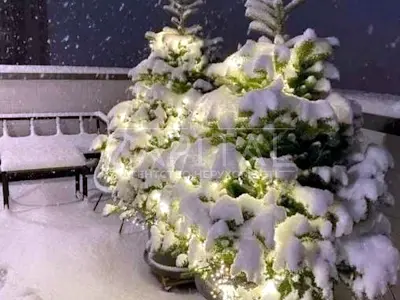квартира по адресу Степана Рудницкого ул. (Вильямса академика), 19/14