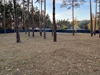 ділянка за адресою Сосновий Бір вул.