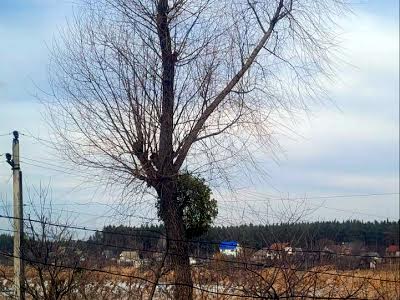 будинок за адресою Українка, Прирічна