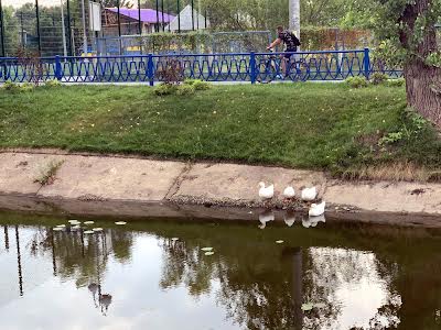 квартира по адресу Центральная ул., 11