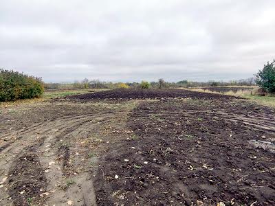 будинок за адресою с. Черняхів, Народна