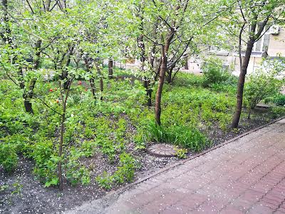 квартира за адресою Банкова вул., 3