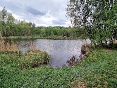 будинок за адресою с. Миколаївка, Садовая 3