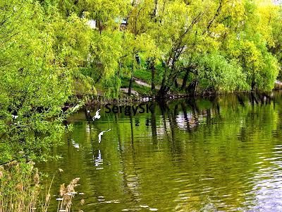 квартира по адресу Днепровская набережная ул., 19-В