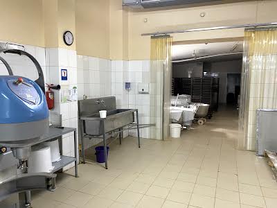 комерційна за адресою с. Мотижин, Василя Довгича вул., 2