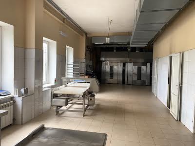 комерційна за адресою с. Мотижин, Василя Довгича вул., 2