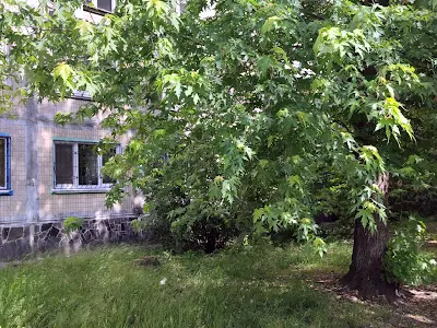 квартира по адресу Уинстона Черчилля ул. (Красноткацкая), 18-А