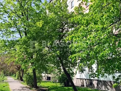 квартира по адресу Анатолия Соловьяненко ул. (Олександра Бойченка), 4