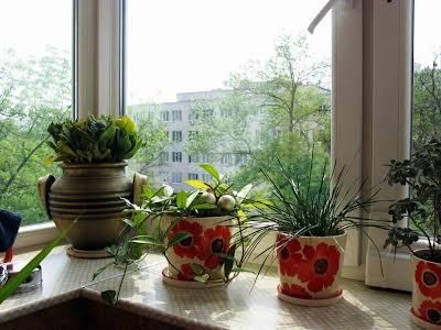квартира по адресу Профессора Подвысоцкого ул., 6-А