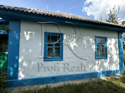будинок за адресою с. Літки, Каштанова вулиця, 1