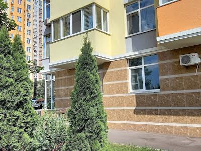 квартира за адресою Сім'ї Кульженків вул. (Петра Дегтяренка), 31-А