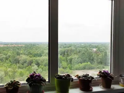 квартира за адресою Північна вул. (Північна), 2