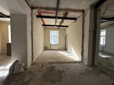 комерційна за адресою Панаса Мирного вул., 1