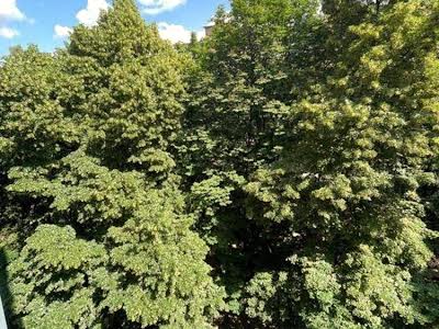 квартира по адресу Генерала Геннадия Воробьёва ул. (Курська), 13