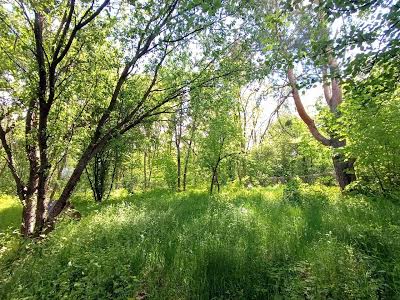 дом по адресу Ходосіївські сади