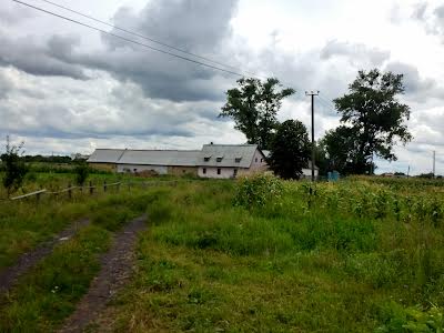 ділянка за адресою с. Княжичі, Требухівська