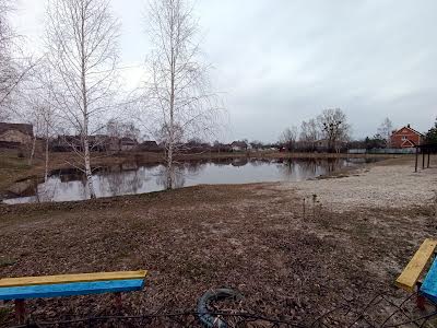 дом по адресу с. Синяк, 3-я лінія