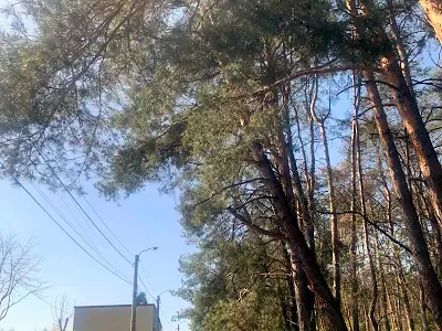 будинок за адресою с. Петропавлівська борщагівка, Північна вул.