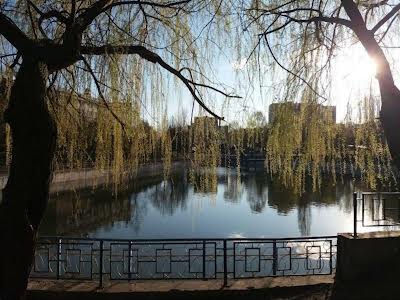квартира за адресою Київ, Вацлава Гавела бульв. (Івана Лепсе), 19