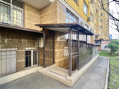 комерційна за адресою Сім'ї Кульженків вул. (Петра Дегтяренка), 35