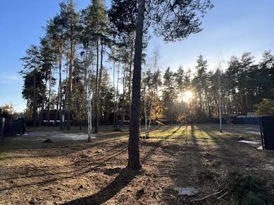 ділянка за адресою Сосновий Бір вул.