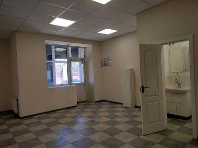 комерційна за адресою Дениса Рачінського вул. (Комбінатна), 25