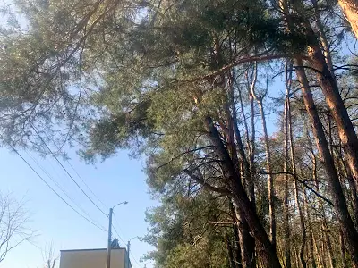 будинок за адресою с. Петропавлівська борщагівка, Північна вул.
