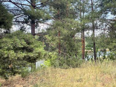 ділянка за адресою с. Лебедівка, 