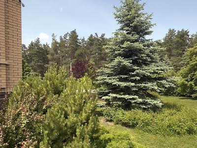 будинок за адресою Лесі Українки вул., 77