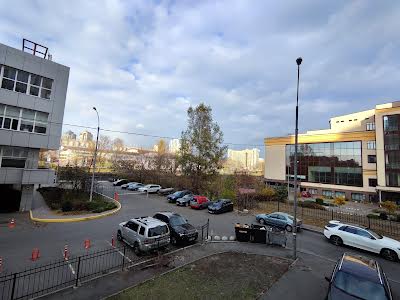 комерційна за адресою Раїси Окіпної вул., 8