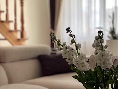 квартира за адресою Валерія Лобановського вул., 16