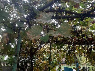 будинок за адресою Вітовецька, 38