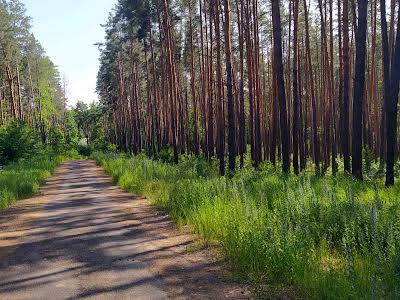 ділянка за адресою Лісова