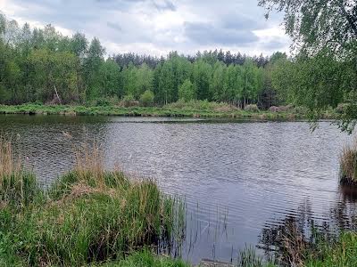 будинок за адресою с. Миколаївка, Садовая 3