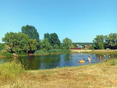 дом по адресу с. Рожны, Шкільна