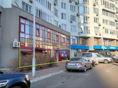 комерційна за адресою Єлизавети Чавдар вул., 1