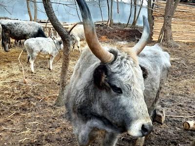 кімната за адресою Тупикова генерала вул., 31