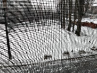 квартира по адресу Гната Юры ул., 1