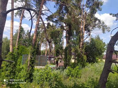 участок по адресу с. Вита-почтовая, 