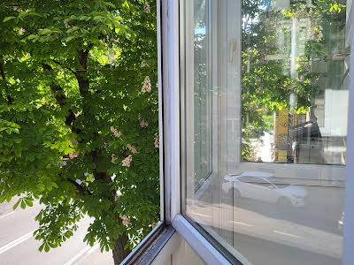 квартира по адресу Большая Житомирская ул., 10