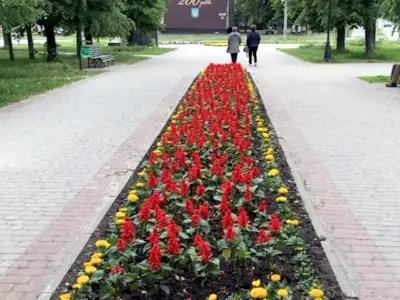квартира по адресу Харьков, Садовый проезд, 24а