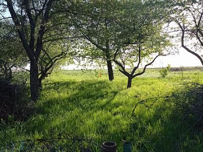 будинок за адресою с. Руликів, Чабанівська вул. (Космонавтів), 125